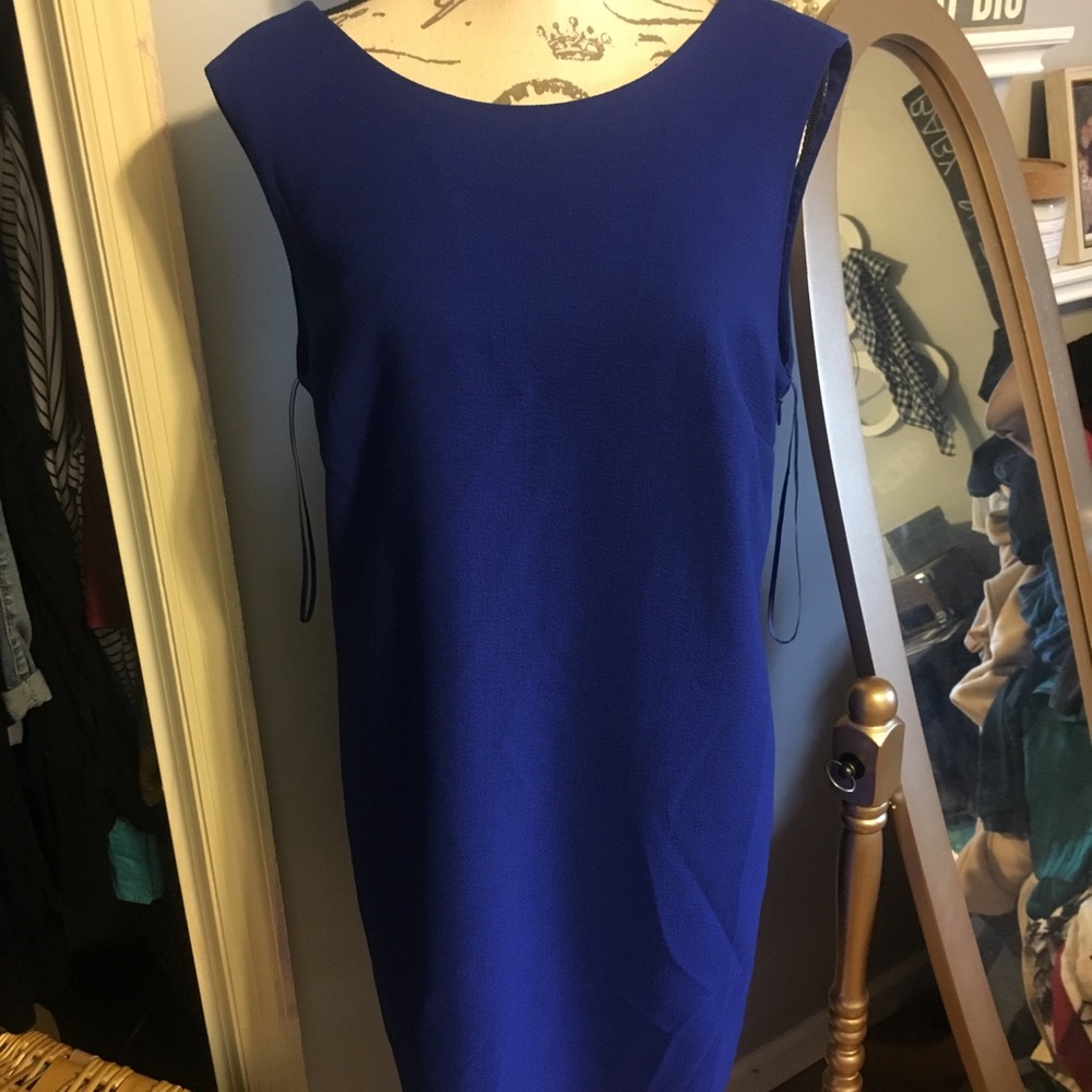 NWOT J Crew Dress